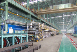 W020251125575347303669