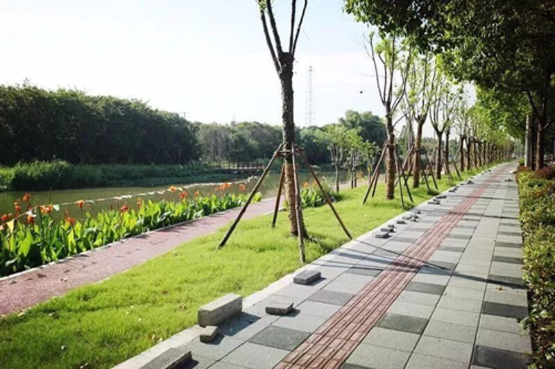 摇钱树娱乐(中国区)有限公司官网