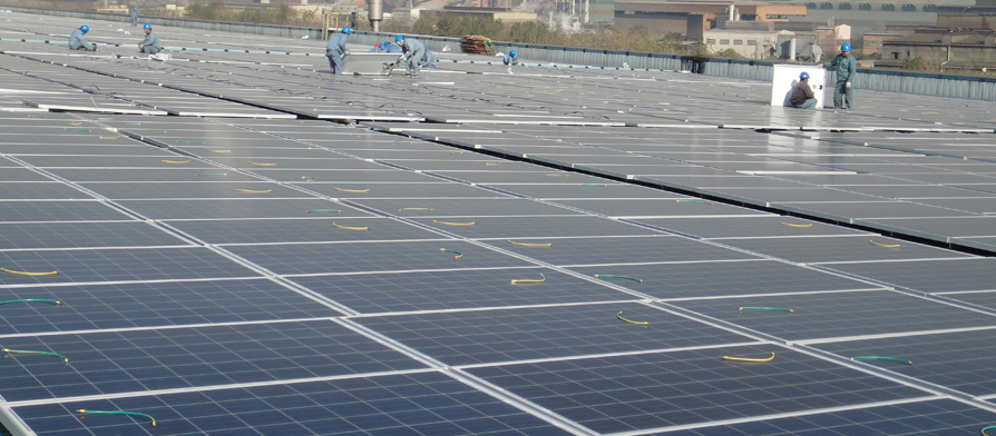 摇钱树娱乐(中国区)有限公司官网