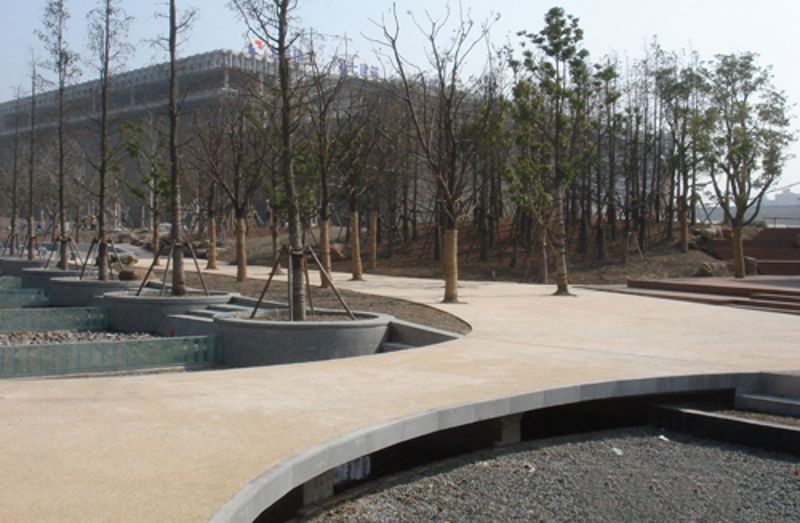 W020251125588387199335